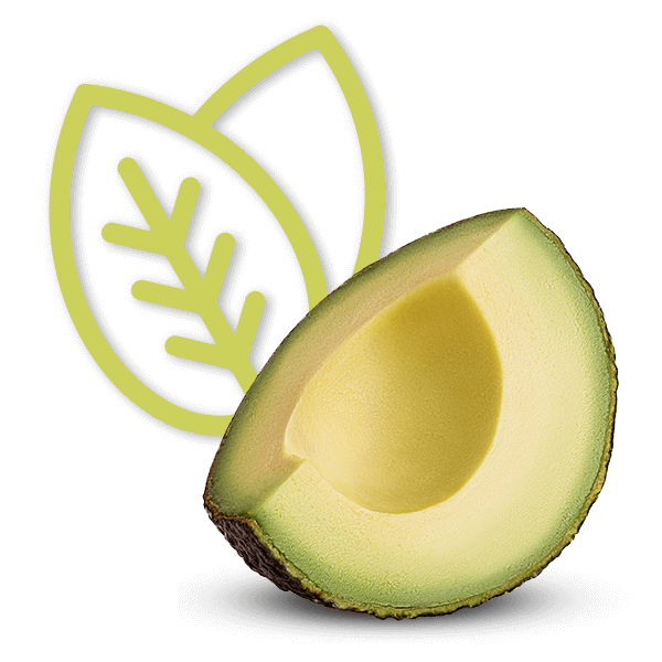 avo-image